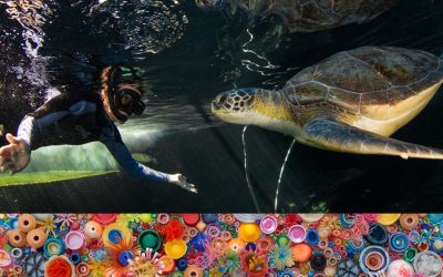 Art joins action for ocean environmentalism